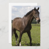 Invitation de Thoroughbred Horse (Devant / Derrière)