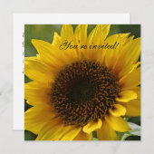 Invitation de tournesol (Devant / Derrière)