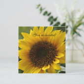 Invitation de tournesol (Debout devant)