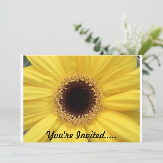 Invitation de tournesol (Debout devant)