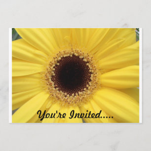 Invitation de tournesol