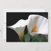 Invitation de zantedeschia (Devant)