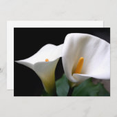 Invitation de zantedeschia (Devant / Derrière)