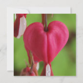 Invitation Défenseurs de la veuve et de l'orphelin épousant (Dos)