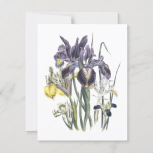 Invitation Déjeuner dans le jardin