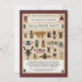 Invitation Déplaisante fête d'Halloween | Collection Fun Bug  (Devant)