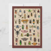 Invitation Déplaisante fête d'Halloween | Collection Fun Bug  (Dos)