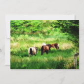 INVITATION DES CHEVAUX (Devant)