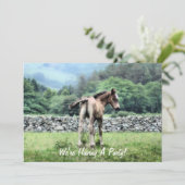 INVITATION DES CHEVAUX (Debout devant)