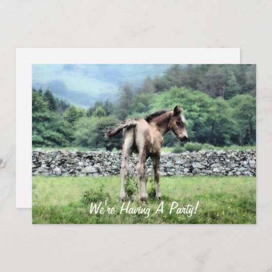 INVITATION DES CHEVAUX (Devant / Derrière)