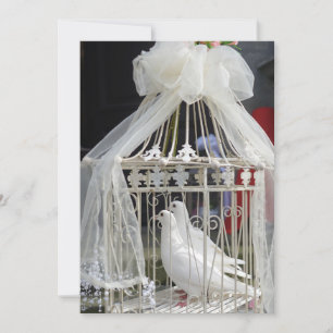 Invitation Des colombes de mariage attendent les mariés