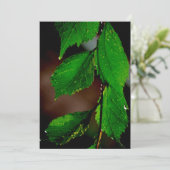 Invitation des Feuilles d'amandiers (Debout devant)