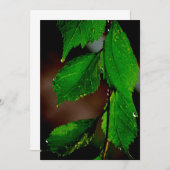 Invitation des Feuilles d'amandiers (Devant / Derrière)