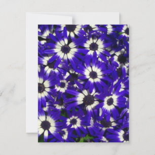 Invitation des fleurs bleues