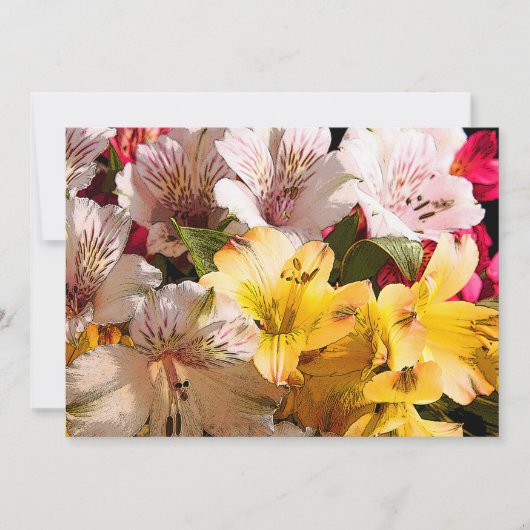 Invitation des fleurs d'Alstroemeria (Devant)