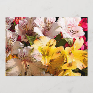 Invitation des fleurs d'Alstroemeria