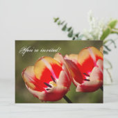 Invitation des fleurs de tulipes (Debout devant)