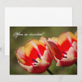 Invitation des fleurs de tulipes (Devant / Derrière)