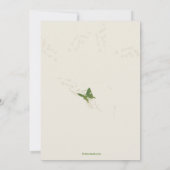 Invitation des fleurs d'été (Dos)