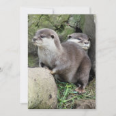 INVITATION DES OTTERS (Devant)