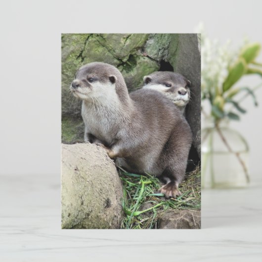 INVITATION DES OTTERS (Debout devant)