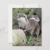 INVITATION DES OTTERS (Devant)