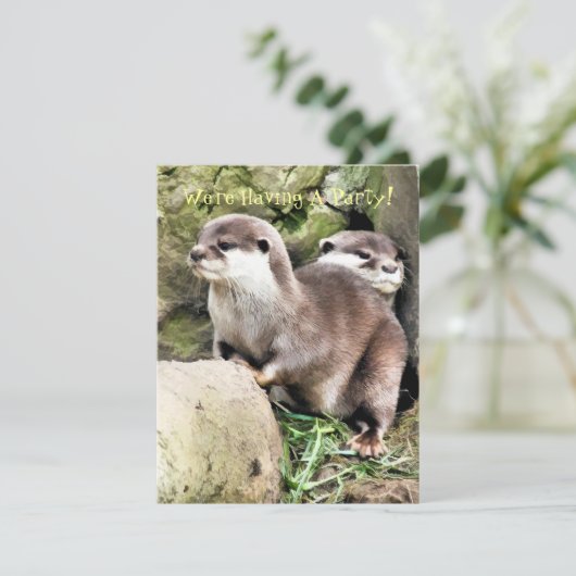 Invitation des OTTERS (Debout devant)