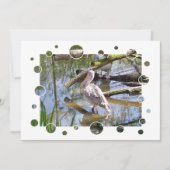 INVITATION DES PELICANS (Devant)