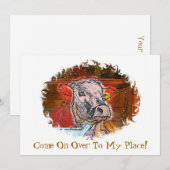 INVITATION DES VACHES (Devant / Derrière)