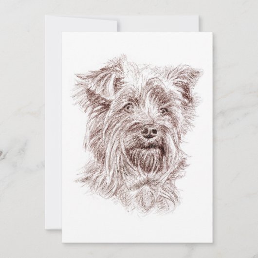 Invitation Dessin Yorkshire Terrier (Devant)