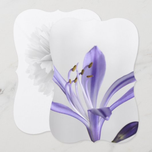 Invitation Destinée de la Fête des mariées Party (Devant / Derrière)