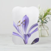 Invitation Destinée de la Fête des mariées Party (Debout devant)