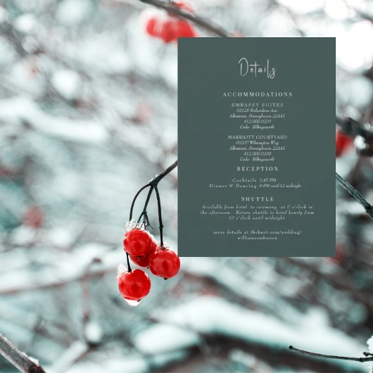 Invitation Détails du Mariage turquoise