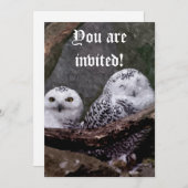 Invitation Deux Chouettes (Devant / Derrière)