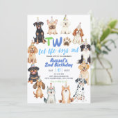 Invitation Deuxième anniversaire de chiens (Debout devant)