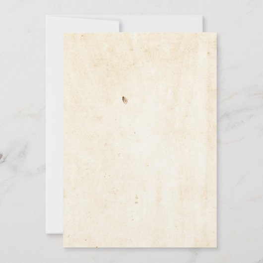 Invitation d'Halloween à la potion vintage (Dos)