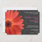 Invitation Die Cut rose orange Gerber Daisy Mariage (Devant)