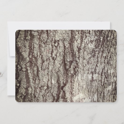 Invitation Dîner d'action de grâces rustique Soirée Grateful  (Dos)