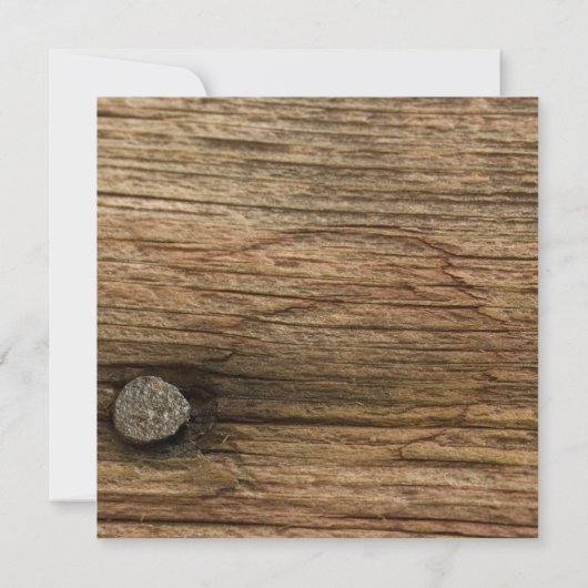 Invitation Dîner de répétition Mariage de marguerite blanche  (Dos)