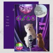 Invitation Disco Fête Chien Chat Maltais Chiot (Devant / Derrière)