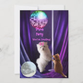 Invitation Disco Fête Chien Chat Maltais Chiot (Devant)