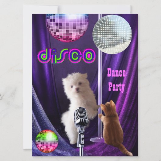 Invitation Disco Party Chien Chat Chien Maltese Ch (Devant)