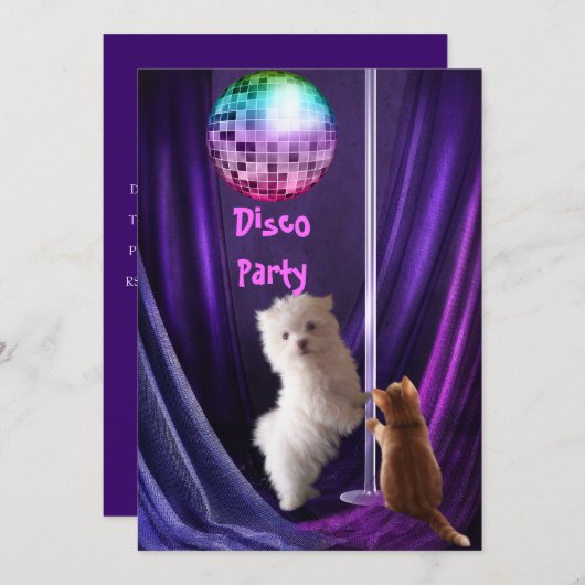 Invitation Disco Party Chien Chat Chien Maltese Ch (Devant / Derrière)