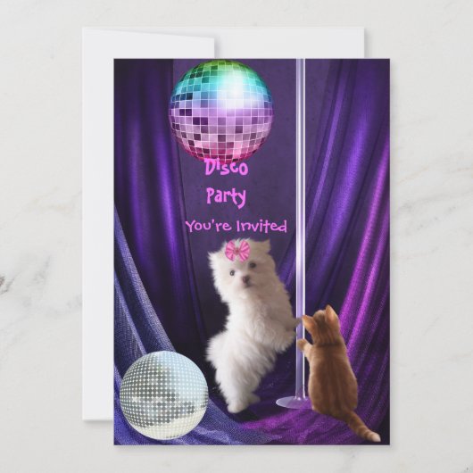 Invitation Disco Party Chien Chat Chien Maltese Ch (Devant)