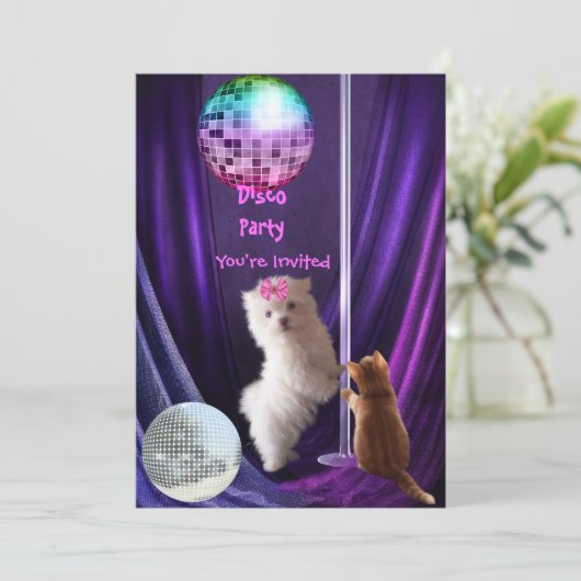 Invitation Disco Party Chien Chat Chien Maltese Ch (Debout devant)
