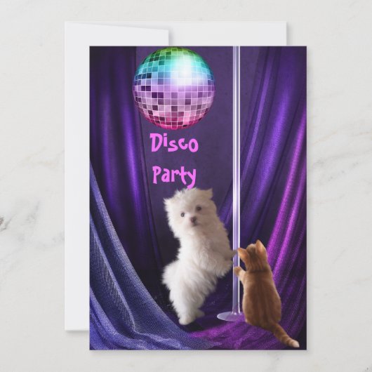 Invitation Disco Party Chien Chat Maltais Chiot (Devant)