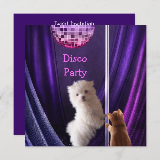 Invitation Disco Party Chien Chat Maltese Bachelorte (Devant / Derrière)