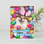 Invitation Dog Laying on Easter Eggs (Debout devant)