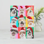 Invitation Dogs and Cats with Santa Beard (Debout devant)