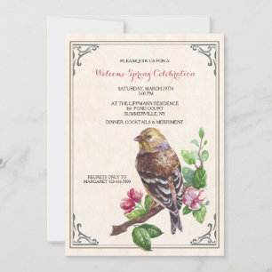Invitation d'oiseaux à la main